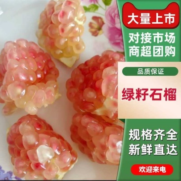 云南蒙自石榴甜石榴产地直销量大从优可对接全国电商