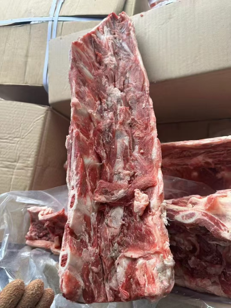满肉腰椎骨