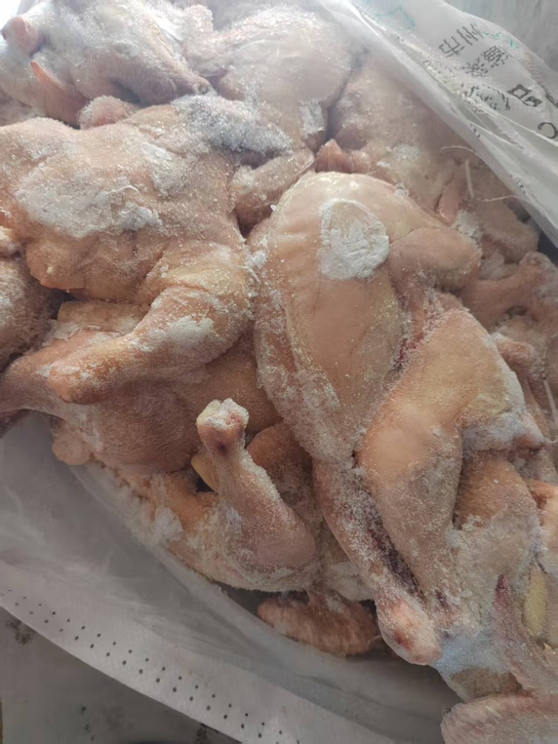 去头去爪的肉鸡一级白条