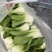 油菜