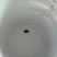 二次利用油漆桶，大量白色干净桶，无限量供应