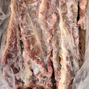 母猪龙骨