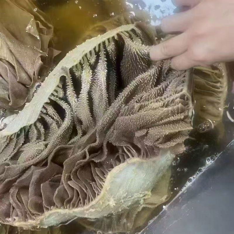 黑个个毛肚