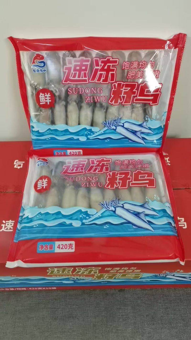 籽乌海兔