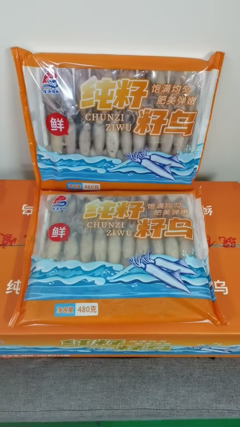 籽乌海兔