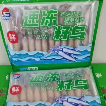 籽乌海兔