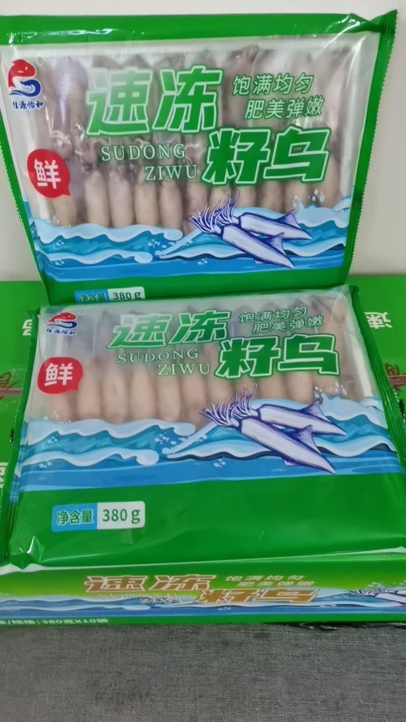 籽乌全籽籽乌海兔笔管鱼