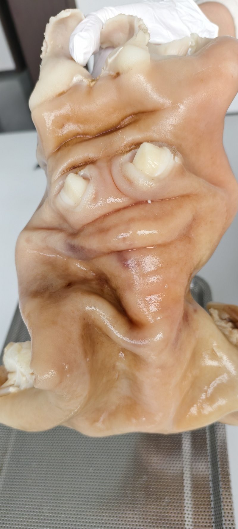 半成品全去骨牛蹄