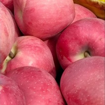 陕西咸阳精品红富士苹果🍎/片红/量大价优/欢迎咨询