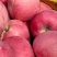 陕西咸阳精品红富士苹果🍎/片红/量大价优/欢迎咨询