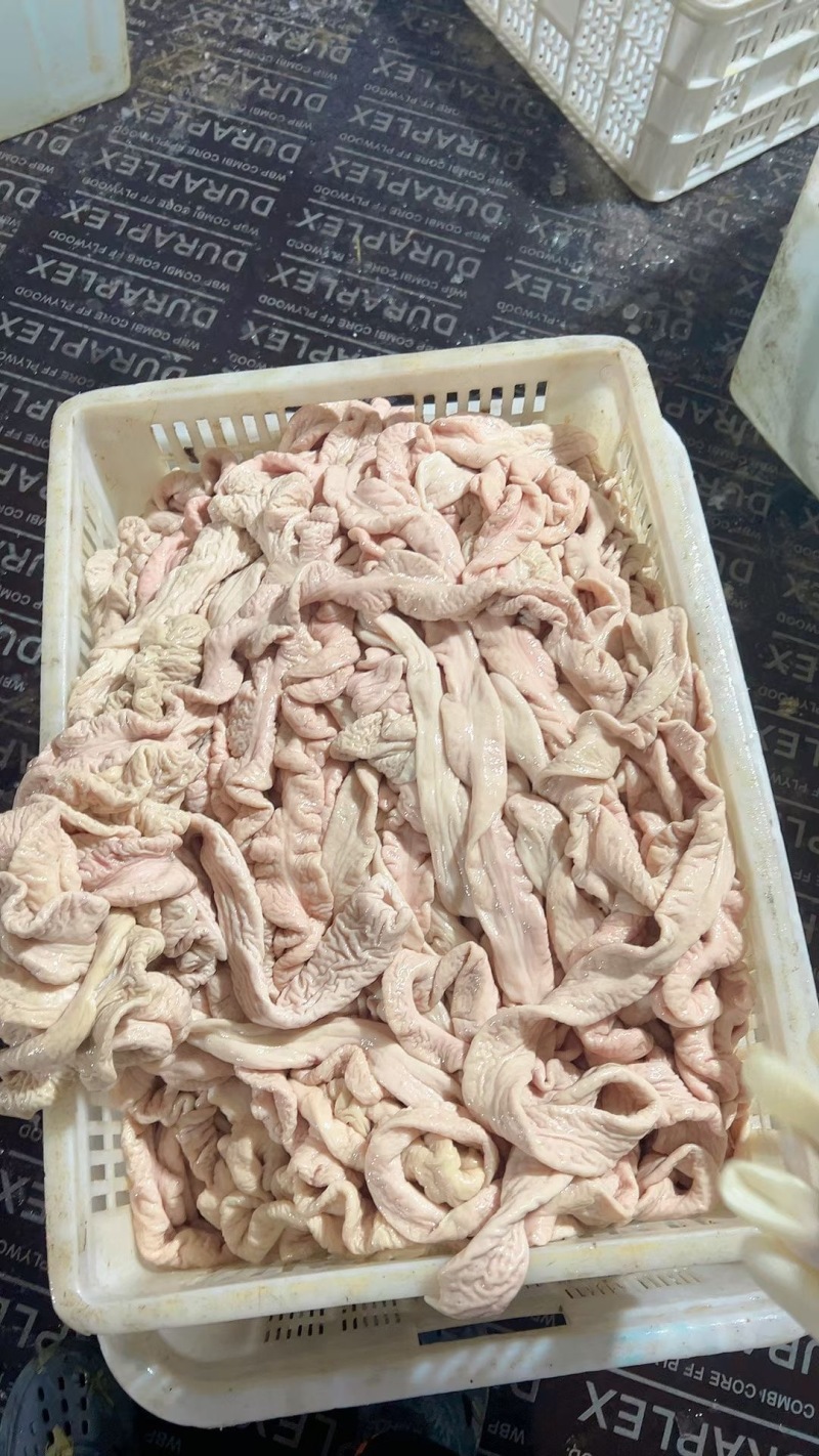 去油90猪大肠，原色鲜货，冻货都可以，每天现杀。