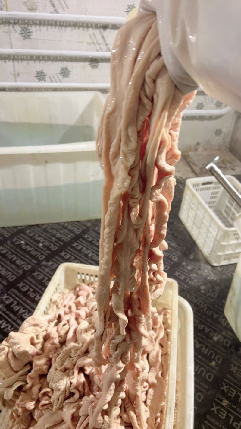 去油90猪大肠，原色鲜货，冻货都可以，每天现杀。