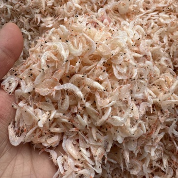 新货虾皮，湿咸虾皮，微咸，个头大，颜色好，