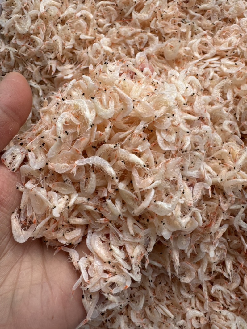 新货虾皮，湿咸虾皮，微咸，个头大，颜色好，
