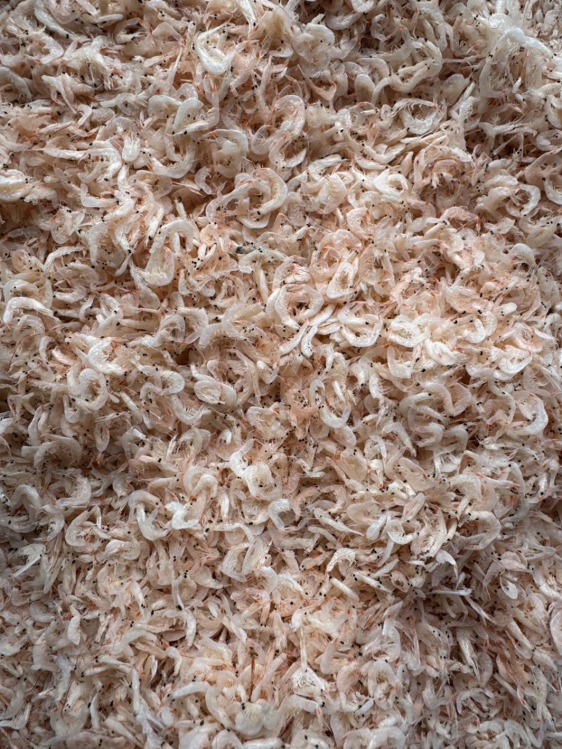 新货虾皮，湿咸虾皮，微咸，个头大，颜色好，