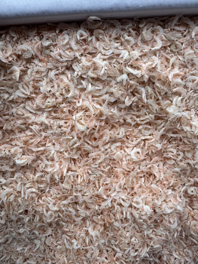 新货虾皮，湿咸虾皮，微咸，个头大，颜色好，