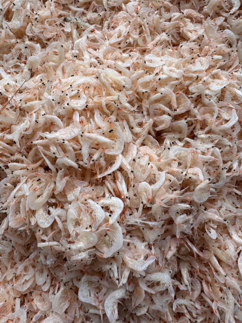 新货虾皮，湿咸虾皮，微咸，个头大，颜色好，