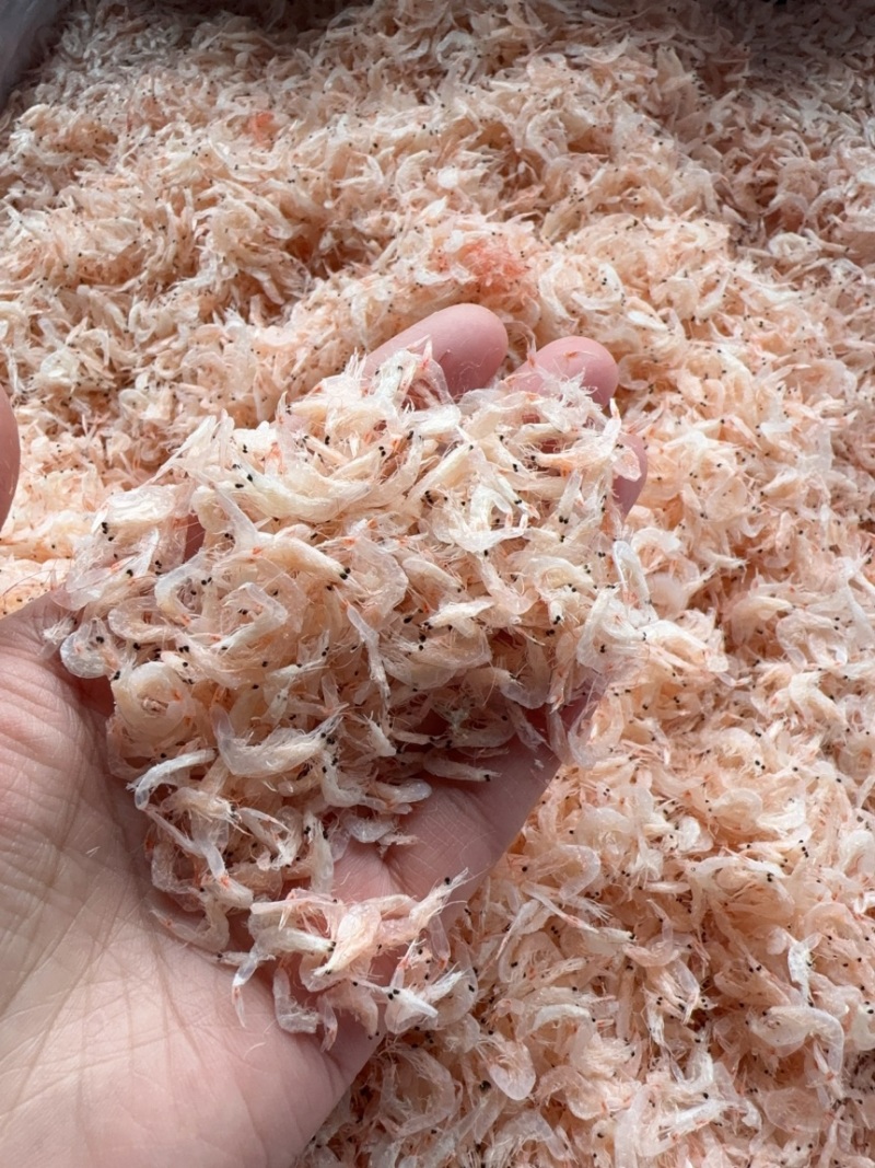 淡干无盐虾皮，新货，颜色好，中等个头