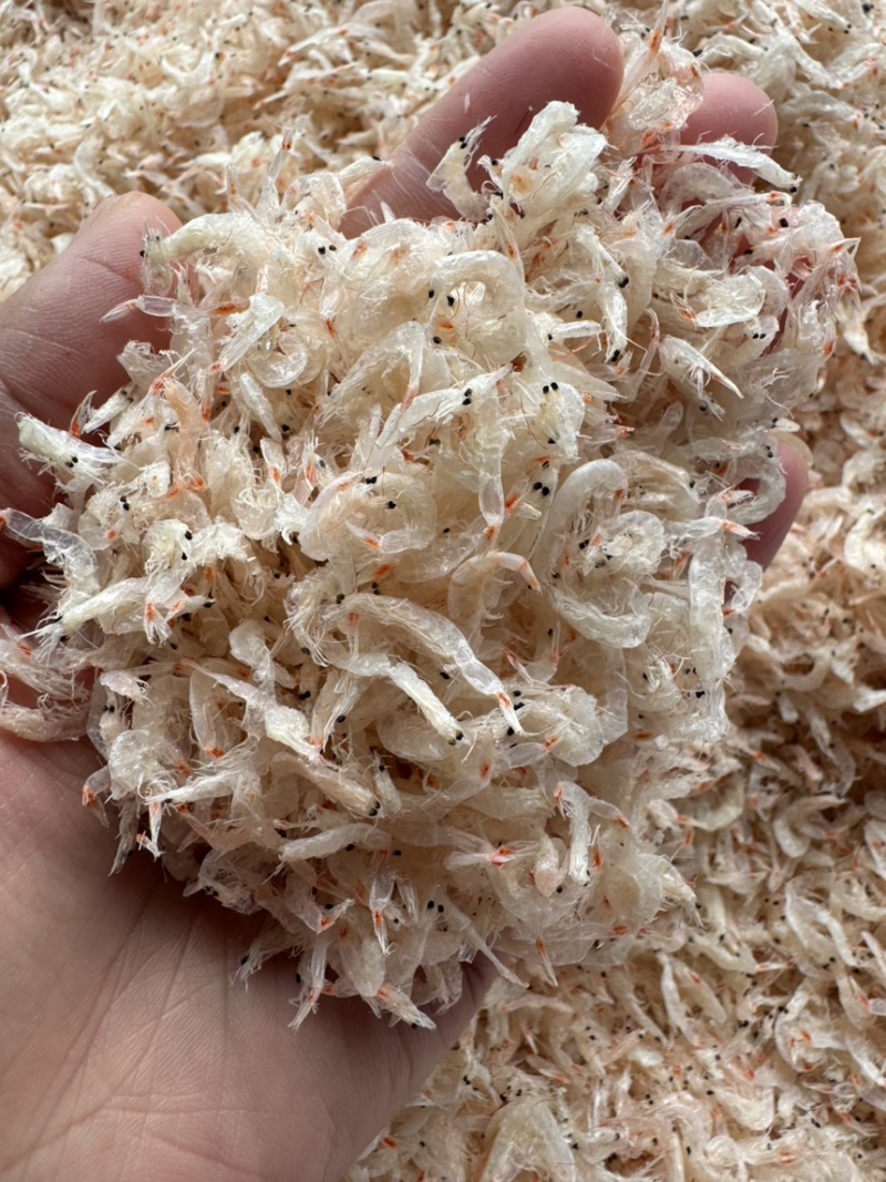 淡干无盐虾皮，新货，颜色好，中等个头