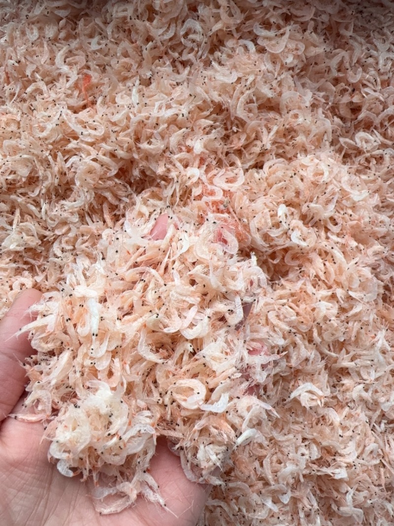 淡干无盐虾皮，新货，颜色好，中等个头