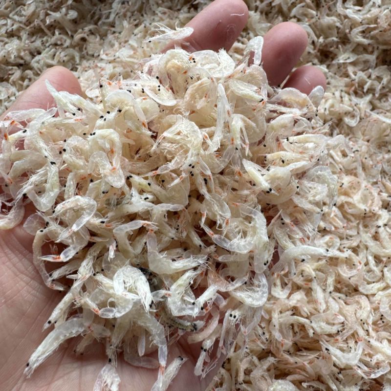 淡干无盐虾皮，大个头，颜色好