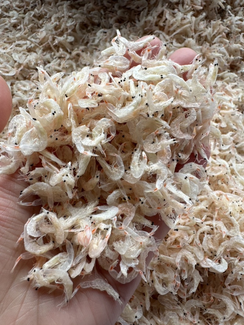 淡干无盐虾皮，大个头，颜色好