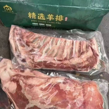 马氏羊半排价格上调470一件19斤