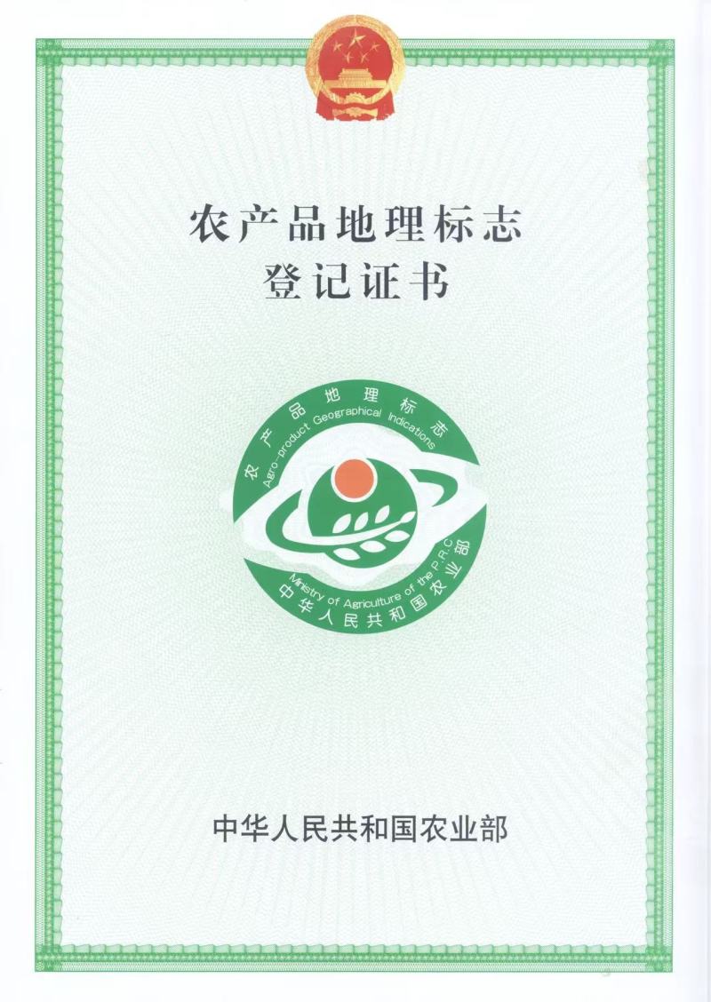 优质莲藕，好吃不贵，重庆永川区，量大优惠