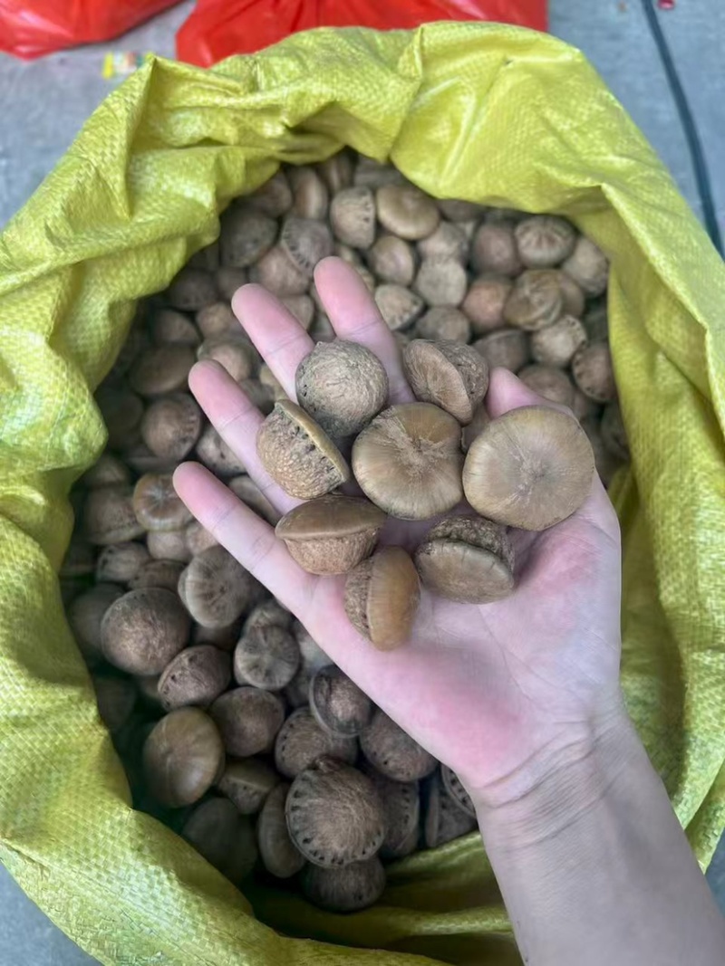 风流果大果泡酒中药材大全批发大果颜色好无虫