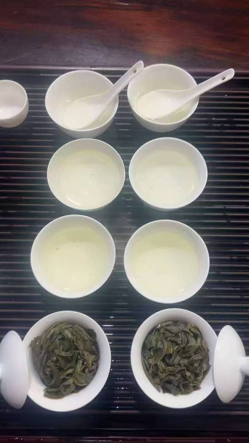 正味铁观音，高山茶