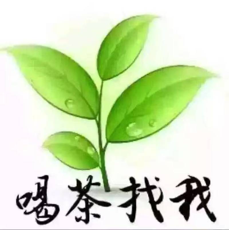 正味铁观音，高山茶