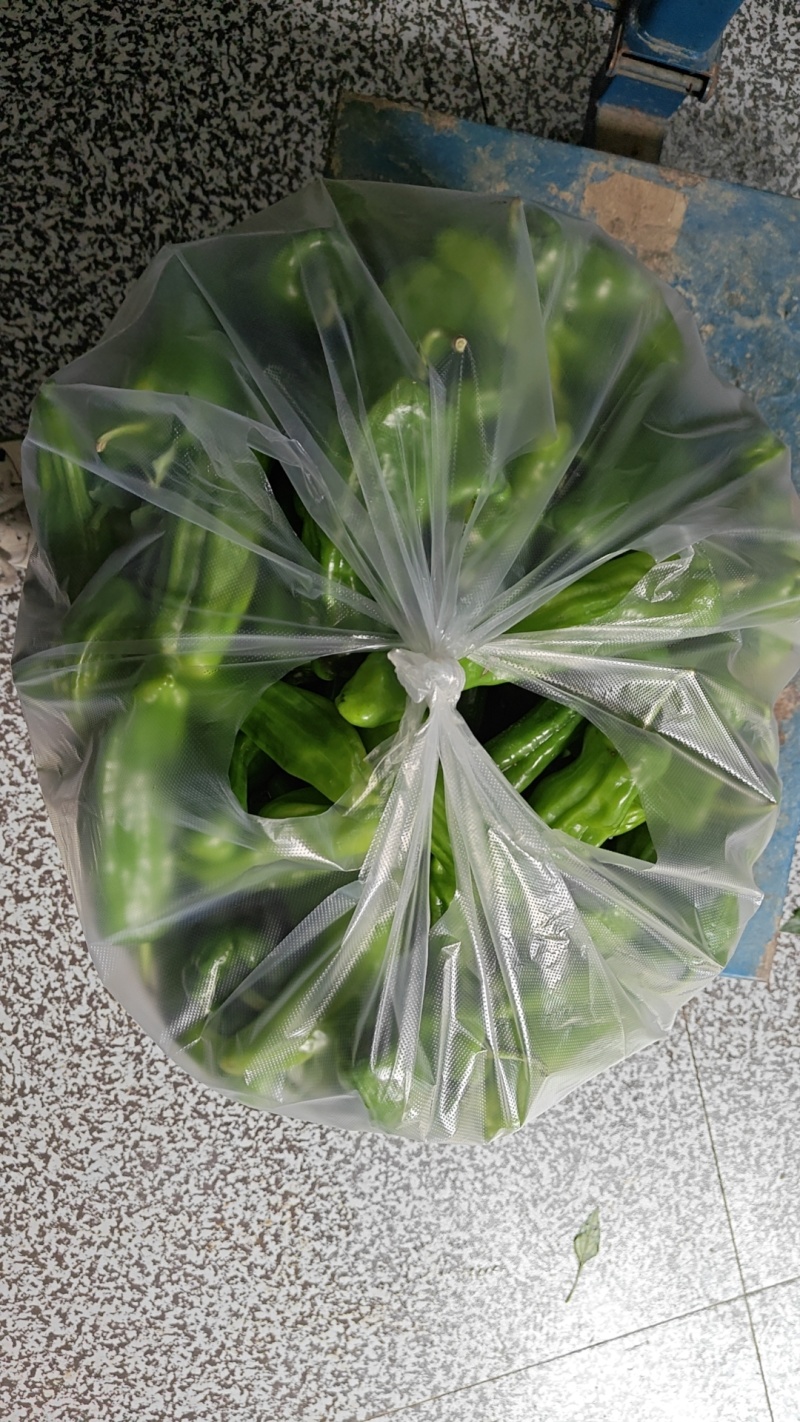 高山辣椒现摘现发