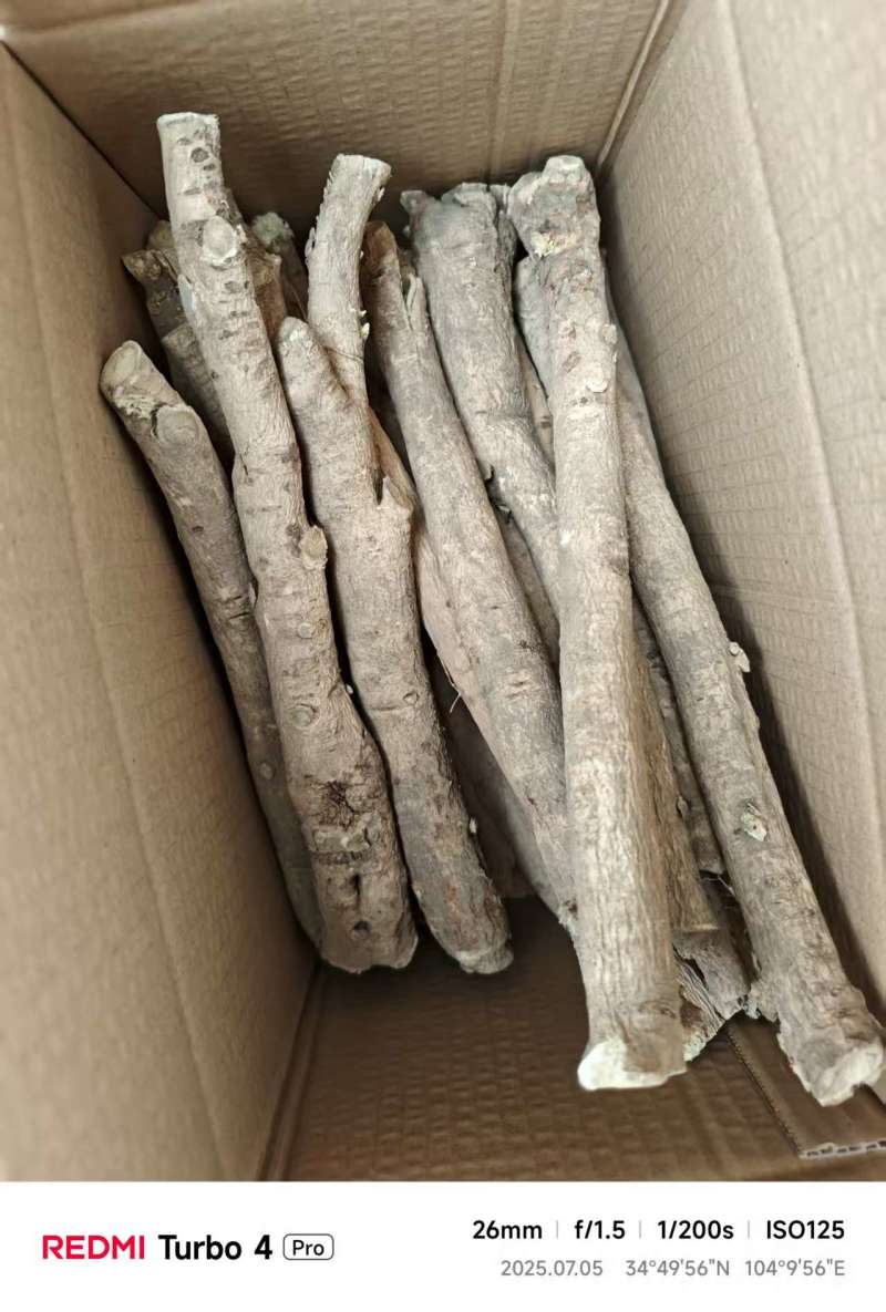 甘肃岷县黄芪条、节子、产地直发！岷县黄芪条铁蛋农源农产品