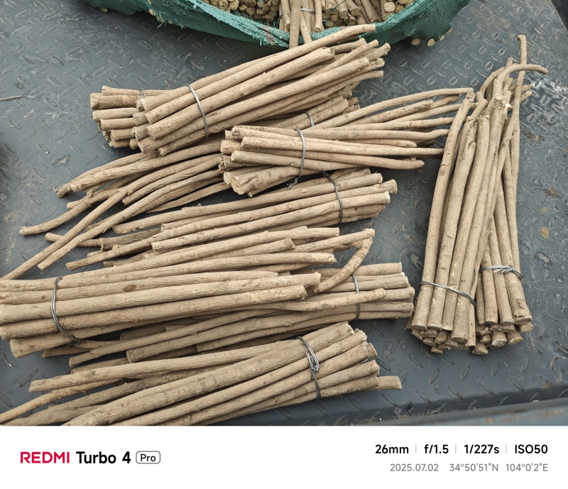 甘肃岷县黄芪条、节子、产地直发！岷县黄芪条铁蛋农源农产品