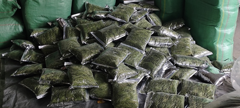 烘干提摩西草燕提