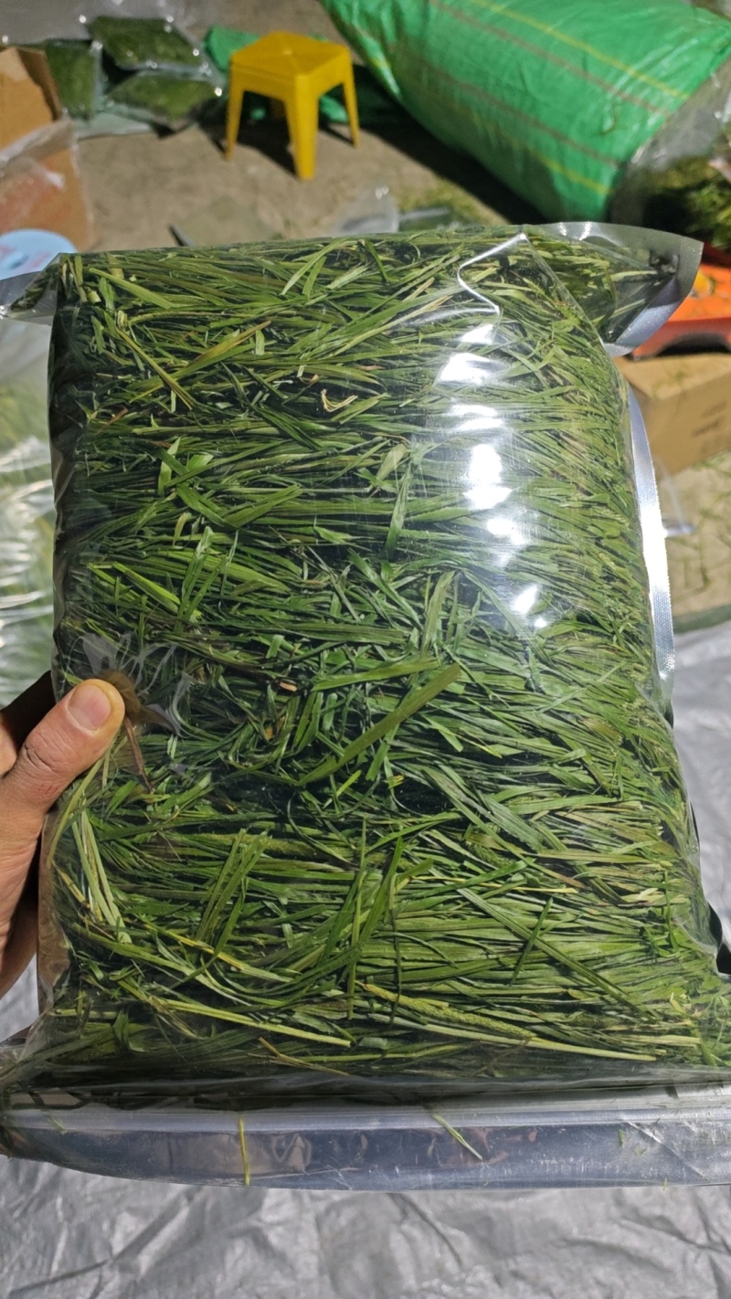 烘干提摩西草燕提