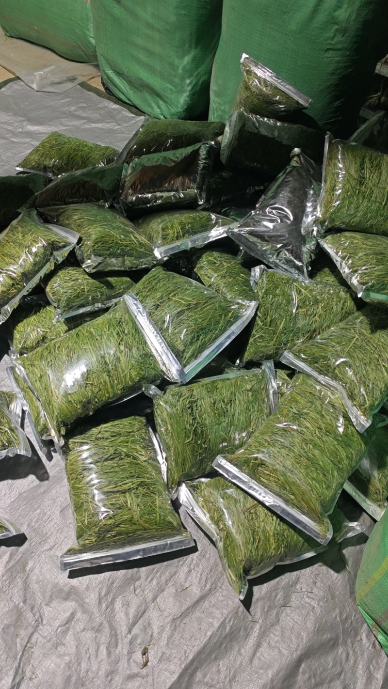 烘干提摩西草燕提