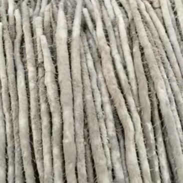河南安阳紫玉淮山药大量接单品质保证诚信合作欢迎来电