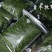 2025年烘干燕提宠物的零食