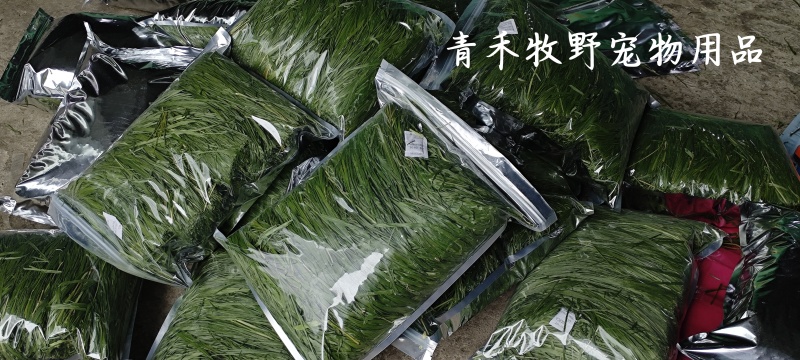 2025年烘干燕提宠物的零食