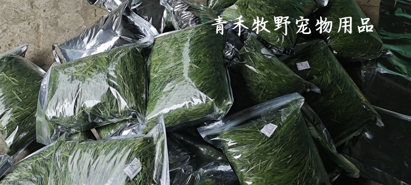 2025年烘干燕提宠物的零食
