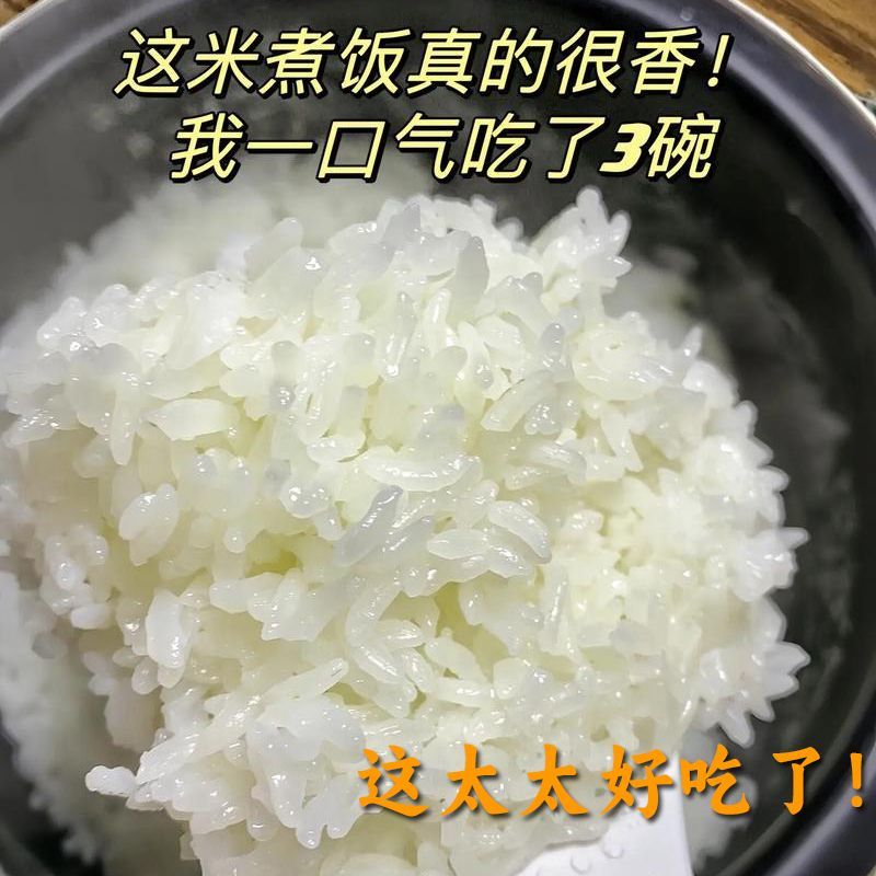 工厂五常稻花香特等有机米政府溯源新米可代发可集采量大优惠