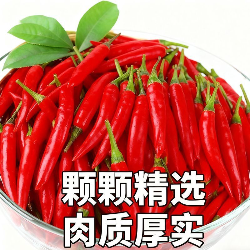优质精品小米椒今日特价电商超市加工厂各大批发市场直供联系