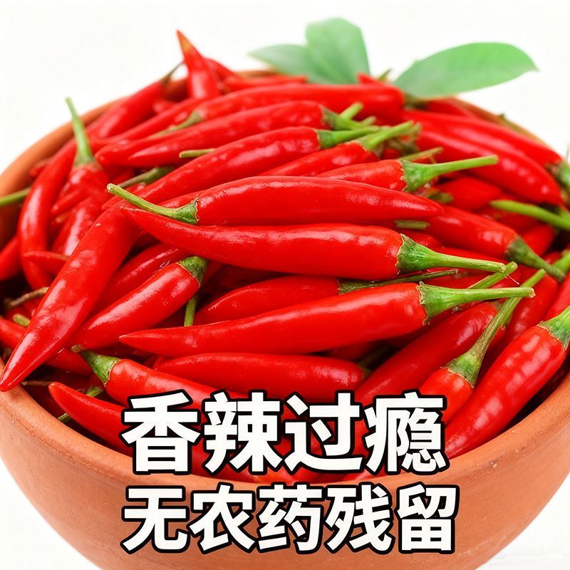 优质精品小米椒今日特价电商超市加工厂各大批发市场直供联系