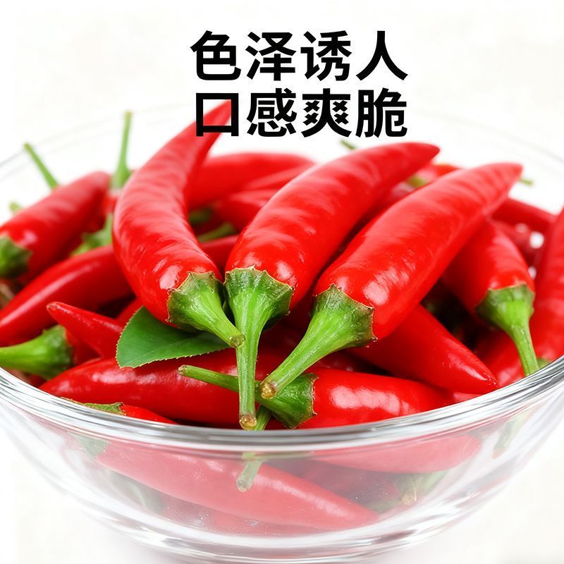 优质精品小米椒今日特价电商超市加工厂各大批发市场直供联系
