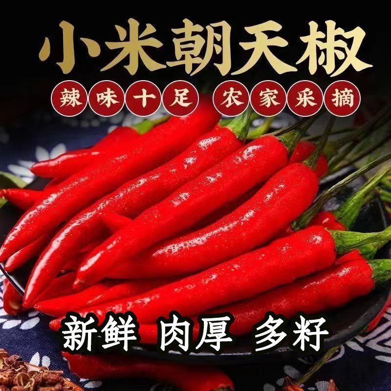 优质精品小米椒今日特价电商超市加工厂各大批发市场直供联系
