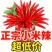 优质精品小米椒今日特价电商超市加工厂各大批发市场直供联系