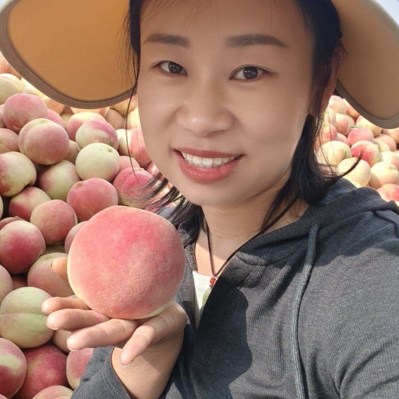 应双红支持批发和零售。
