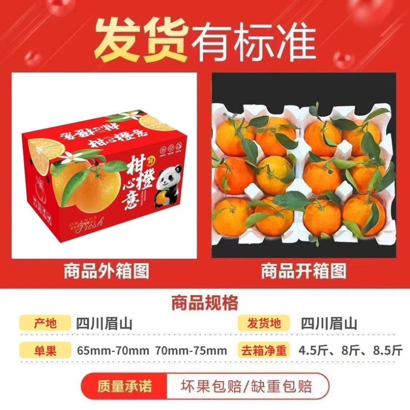 爱媛果冻橙/一件/电商抖音源头直供