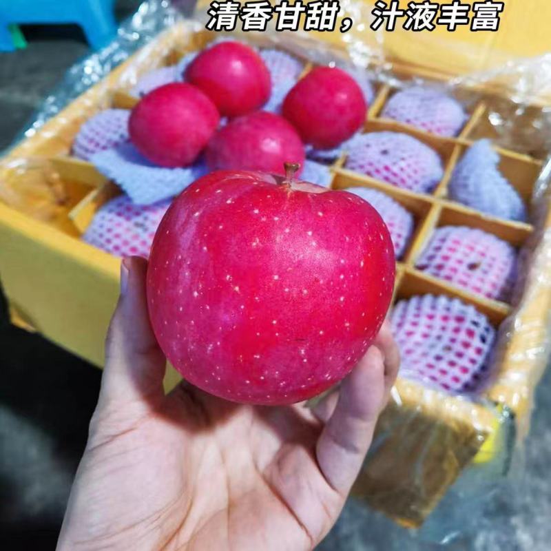 陕西精品红富士苹果/基地直发/货源充足/可视频看货/欢迎下单
